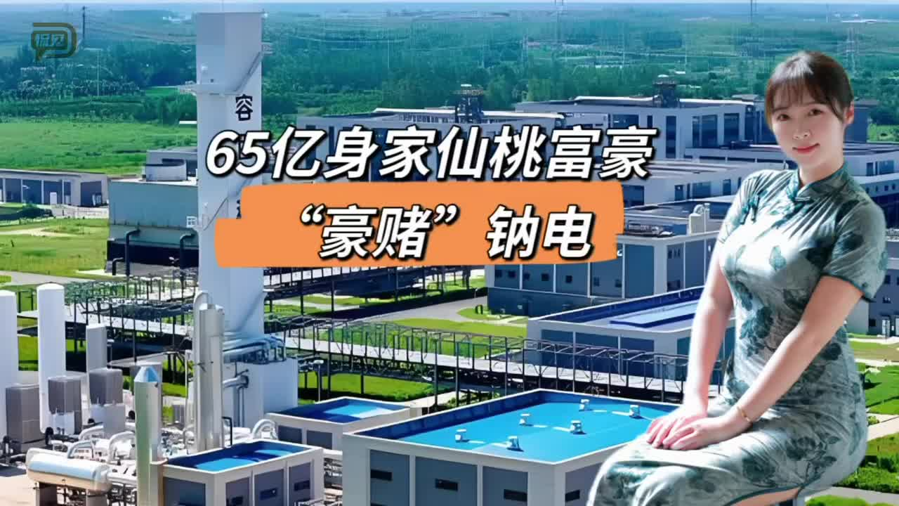 65亿身家仙桃富豪，“豪赌”钠电