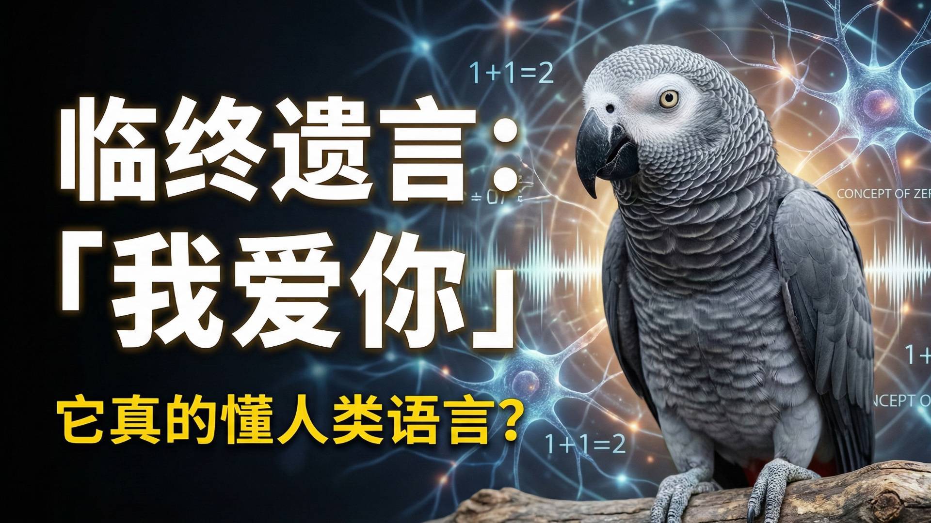 鹦鹉，我们低估你了！｜生物调查局01