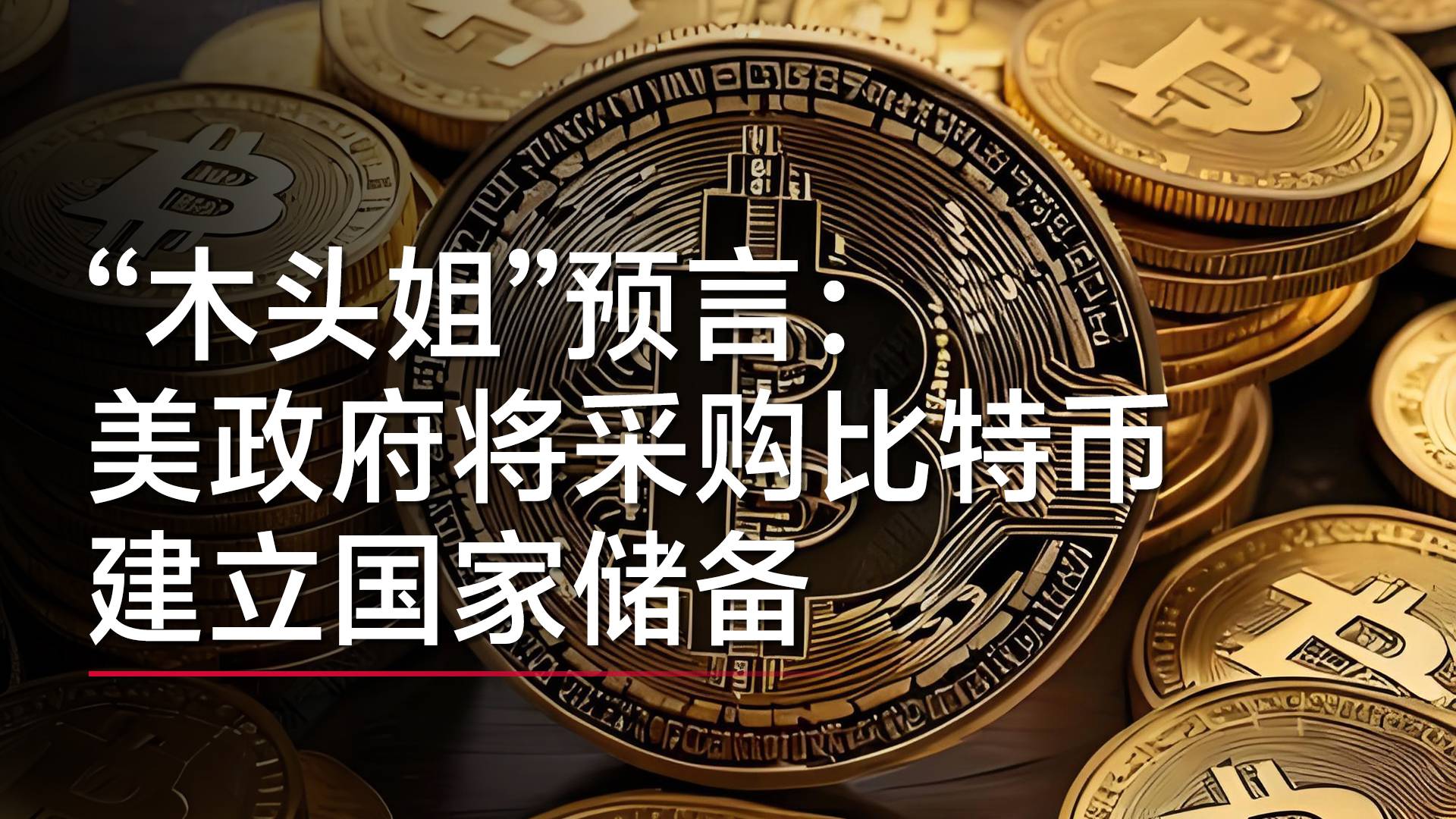 “木头姐”预言：美国政府将很快开始采购比特币，建立国家储备丨视讯速递