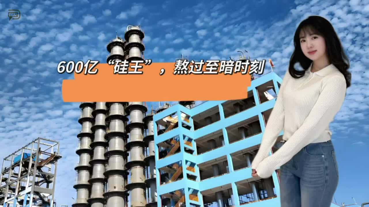 600亿“硅王”，熬过至暗时刻