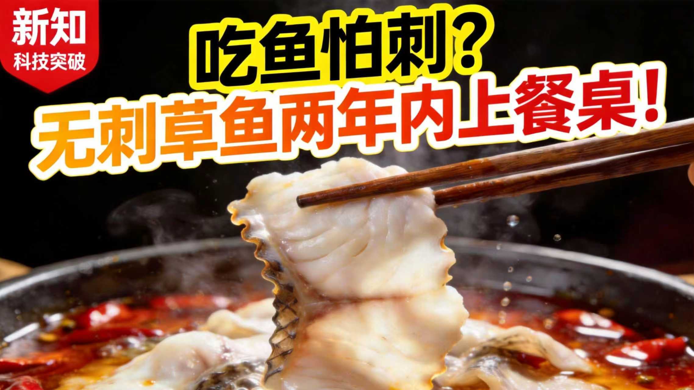 吃鱼不卡嗓，爽快吃鱼的时代即将到来了！