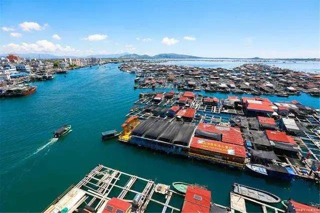 物理AI的ChatGPT时刻来了？