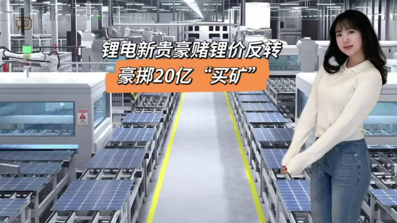 锂电新贵豪赌锂价反转，豪掷20亿“买矿”