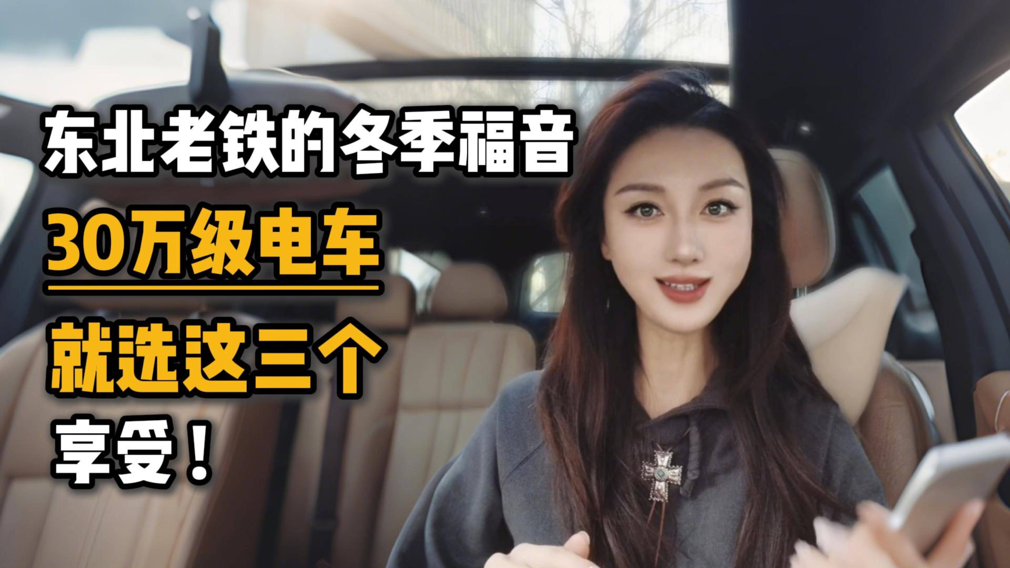 东北老铁的冬季福音30万级电车就选这三个享受！