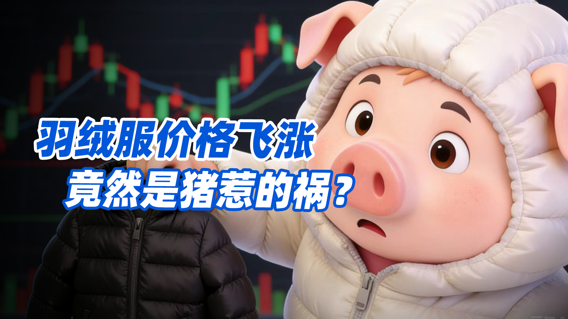 羽絨服價(jià)格飛漲 竟然是豬惹的禍？