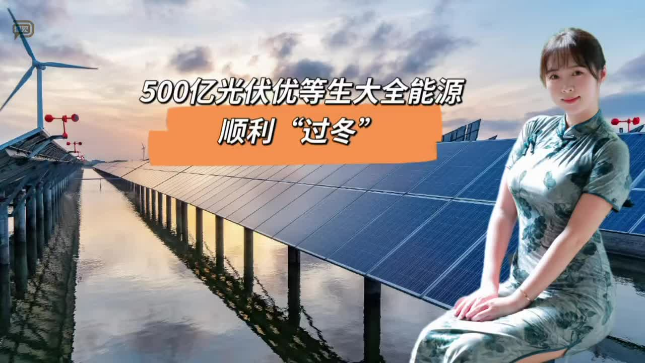 500亿光伏优等生大全能源，顺利“过冬”