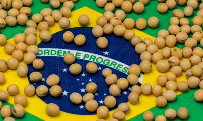 巴西大豆涨价7.16%，400万吨美国大豆正运往中国港口