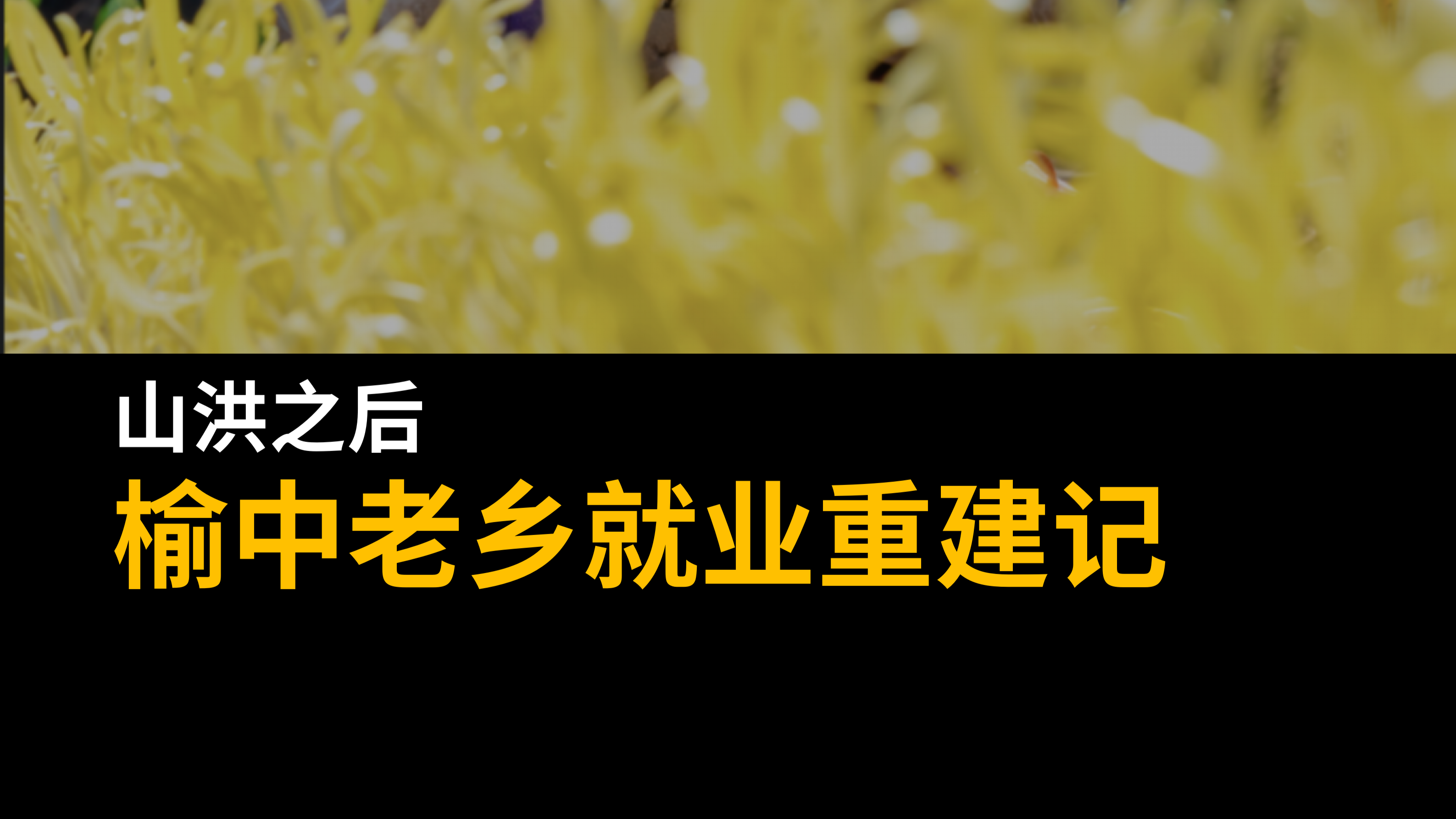 山洪之后，榆中老乡就业重建记