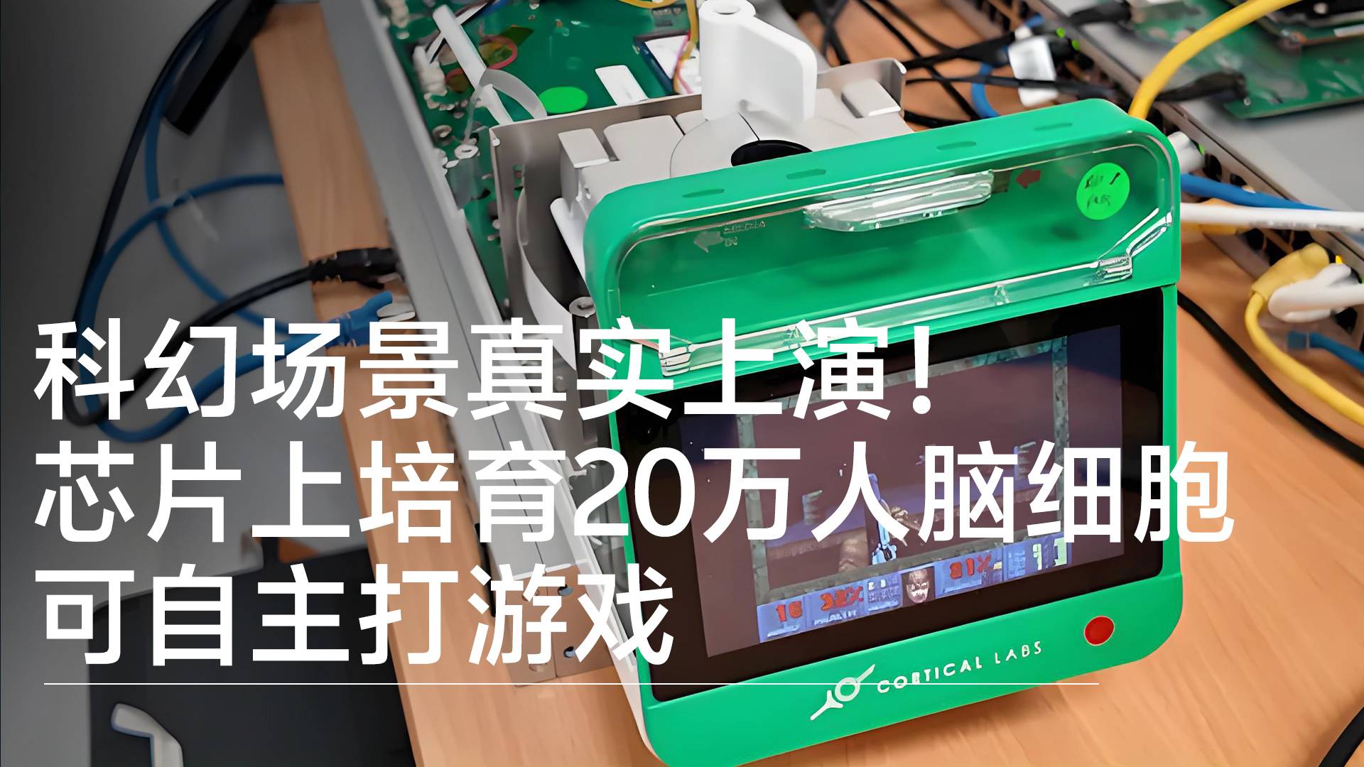 科幻场景真实上演！芯片上培育20万人脑细胞 可自主打游戏丨前沿抢先看