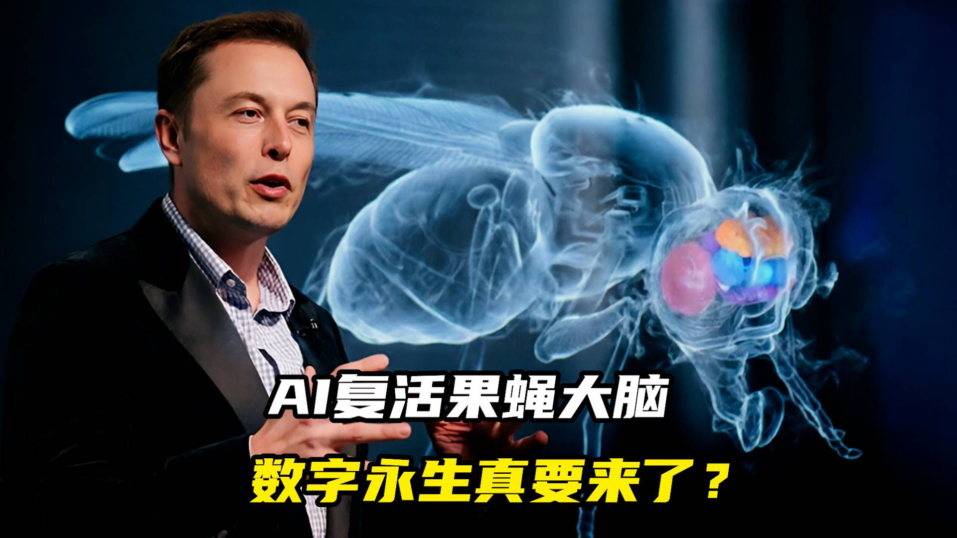 AI復(fù)活果蠅大腦，數(shù)字永生真要來了？