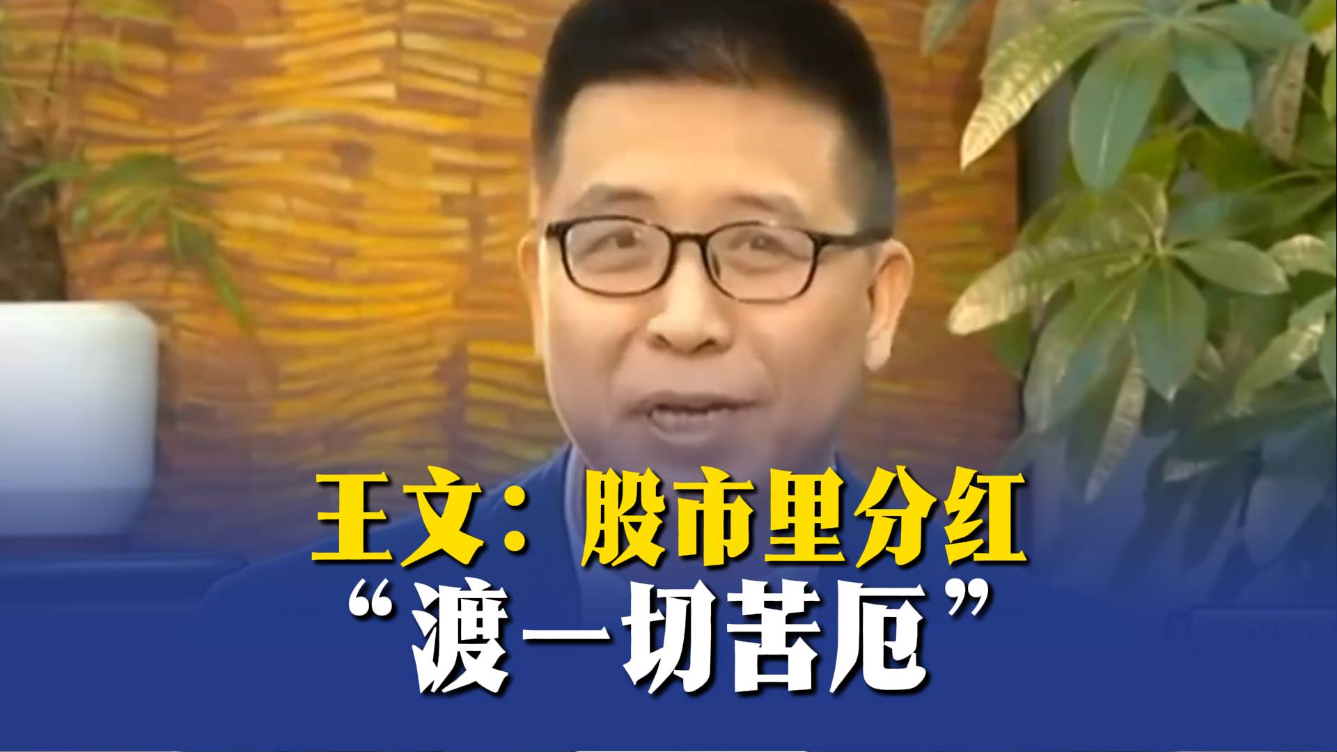 王文：股市里分紅“渡一切苦厄”