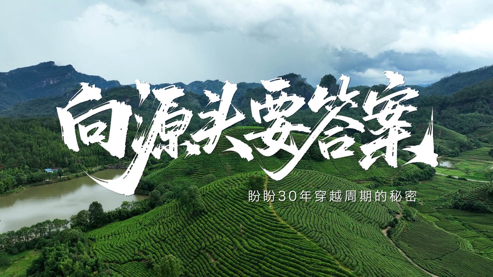 向源头要答案｜盼盼30年穿越周期的秘密