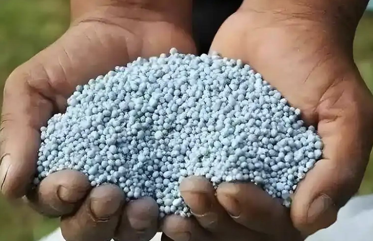 化肥供應(yīng)鏈斷裂：全球春耕告急，糧食危機(jī)一觸即發(fā)？