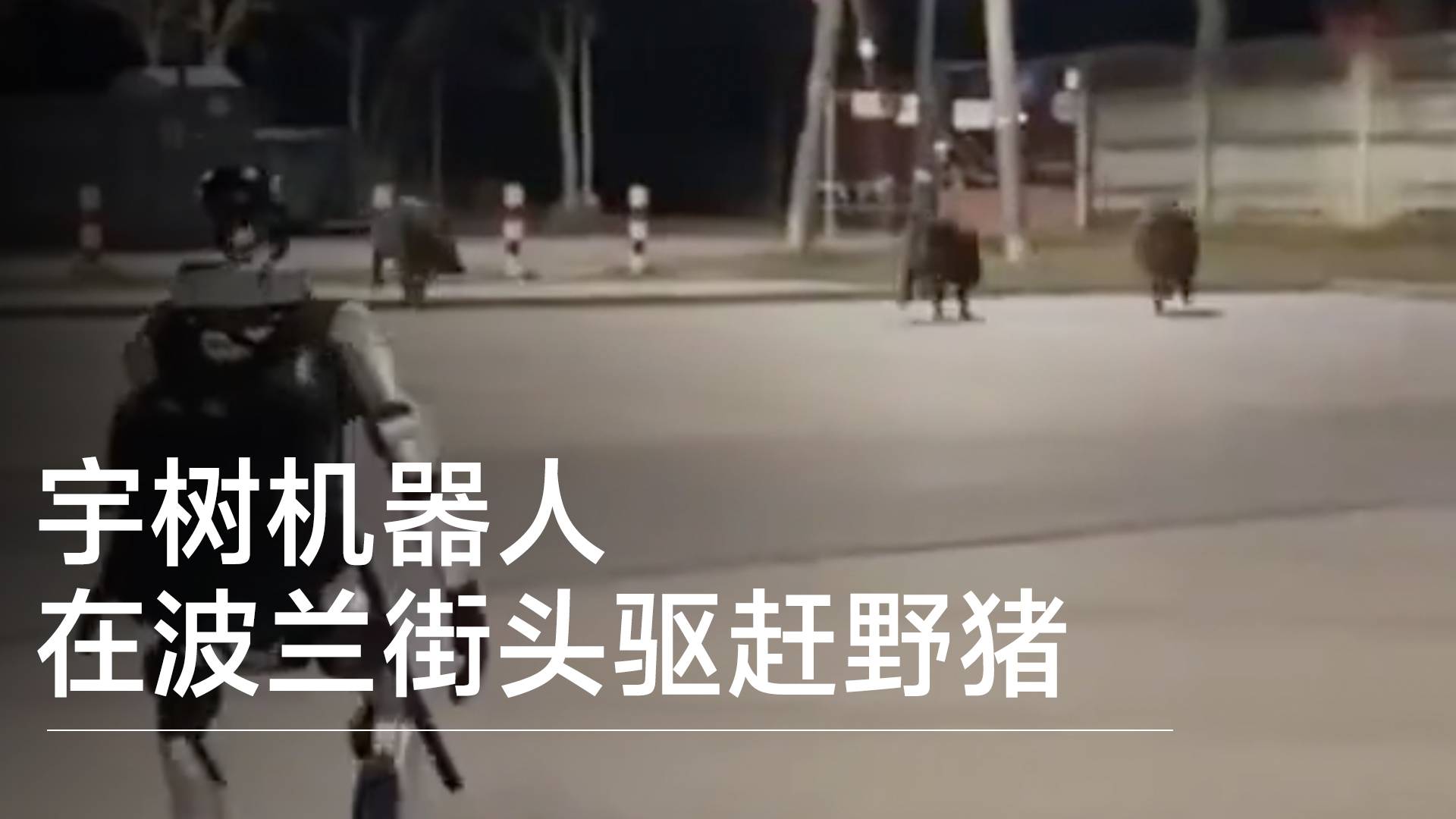 宇树机器人在波兰街头驱赶野猪丨前沿抢先看