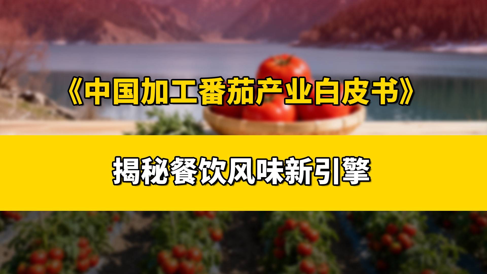 一颗小番茄，凭什么成了餐饮圈的“赚钱密码”