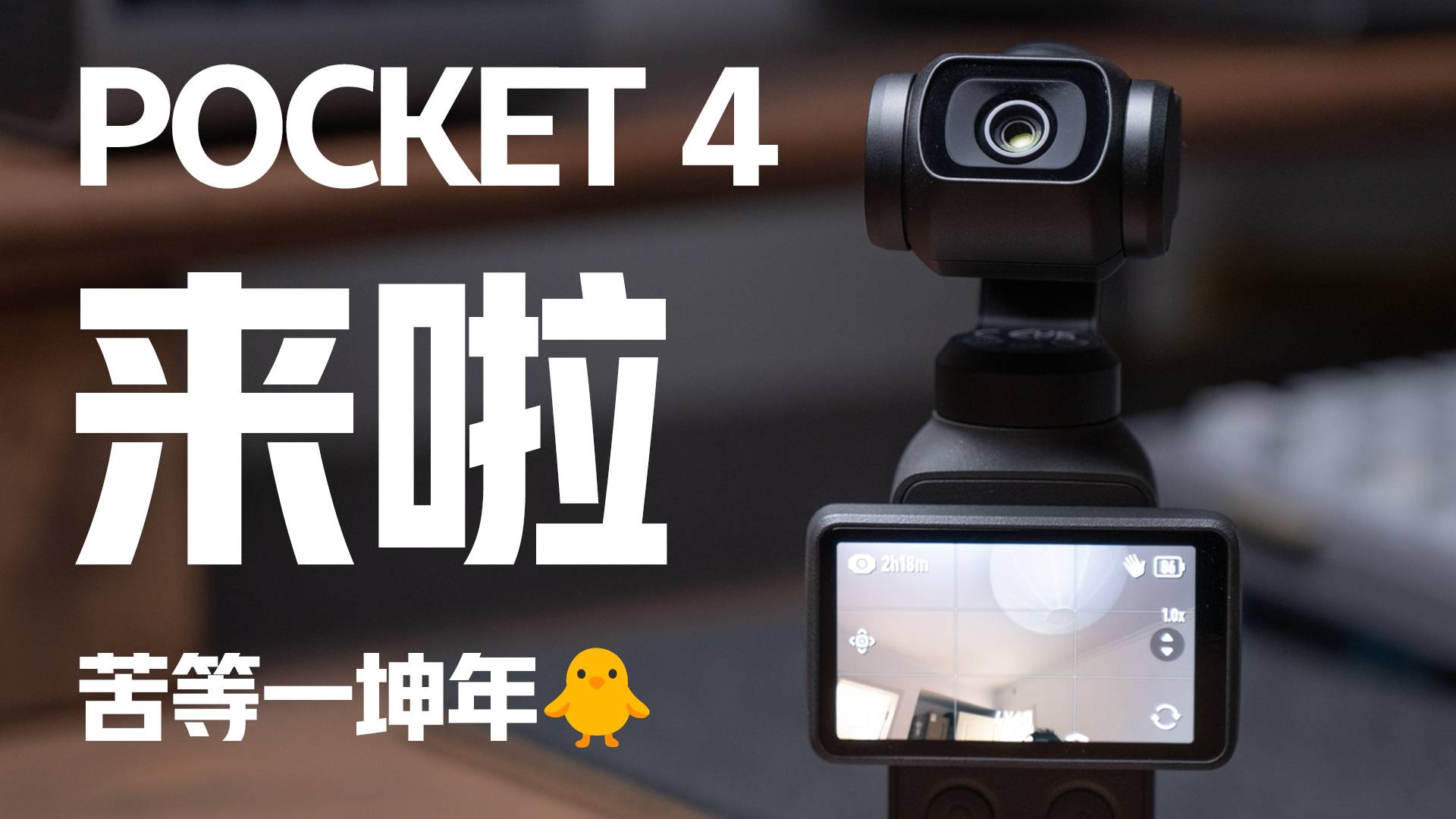学习时长2年半的Pocket4，这次给我们带来了什么？