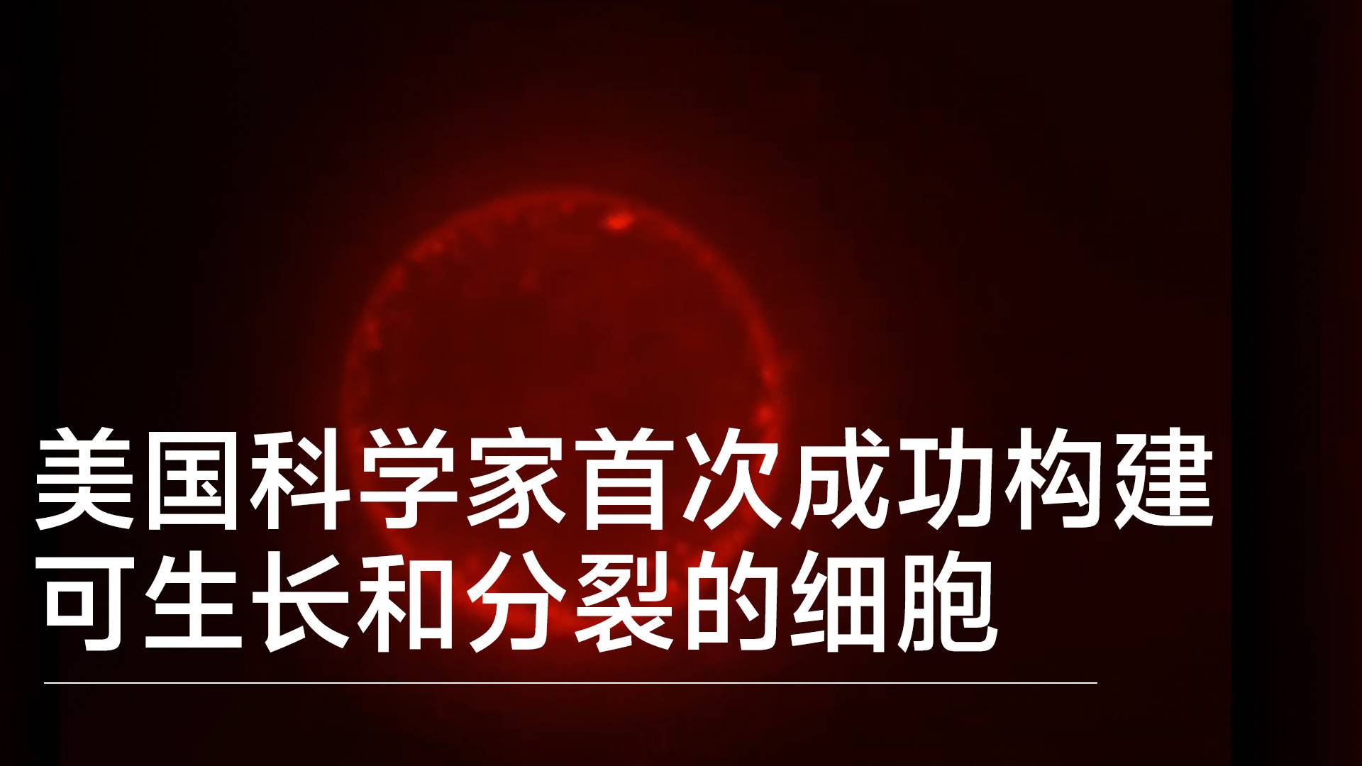 美国科学家首次成功构建可生长和分裂的细胞丨前沿抢先看