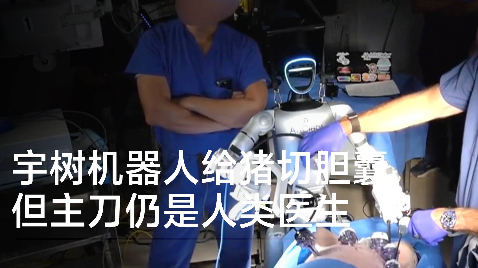 宇树机器人给猪切胆囊，但主刀仍是人类医生丨前沿抢先看