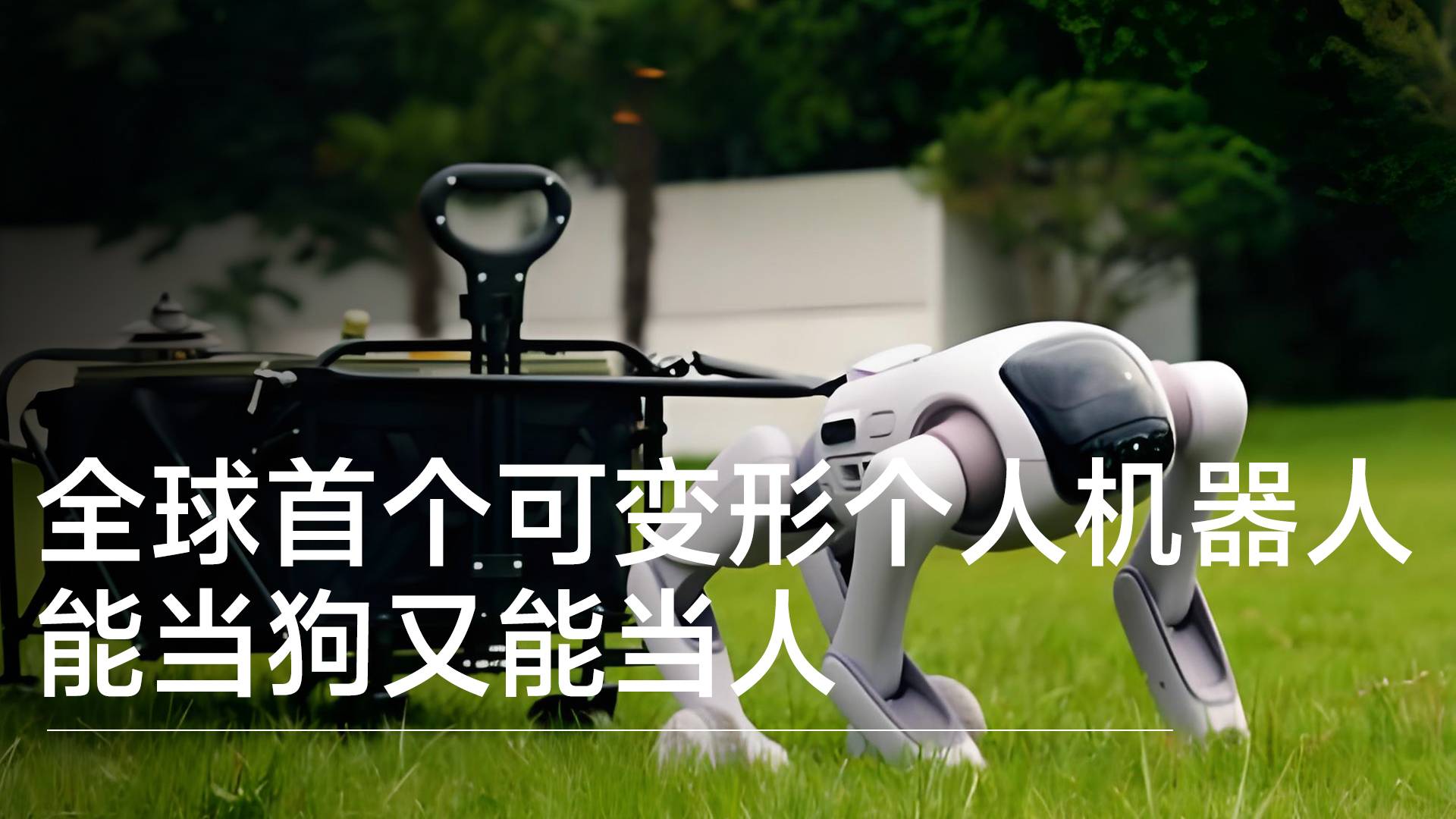 全球首个可变形个人机器人 能当狗又能当人丨前沿抢先看
