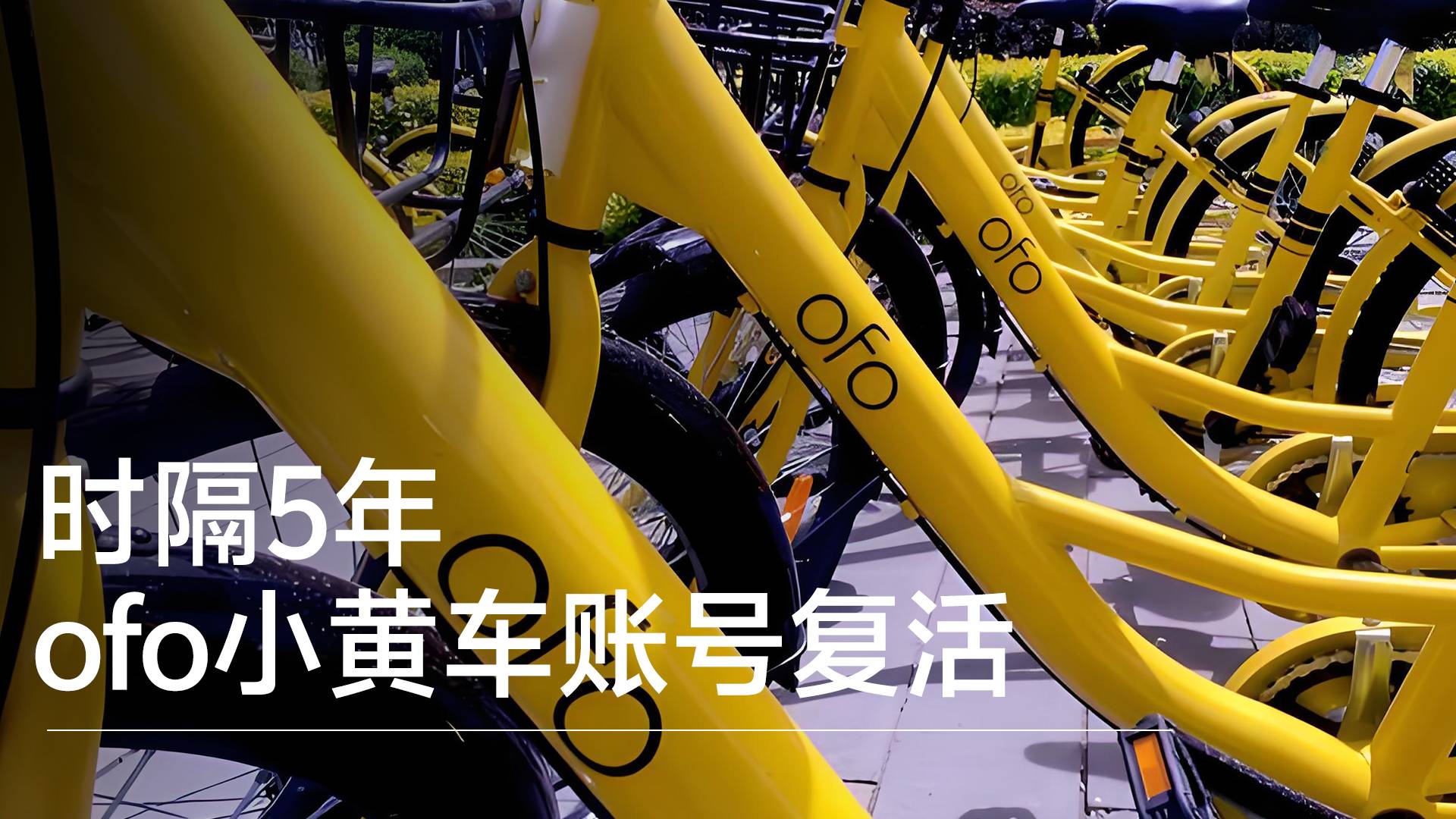 ofo小黄车停更5年突然发文“皮肤病援助”丨视讯速递
