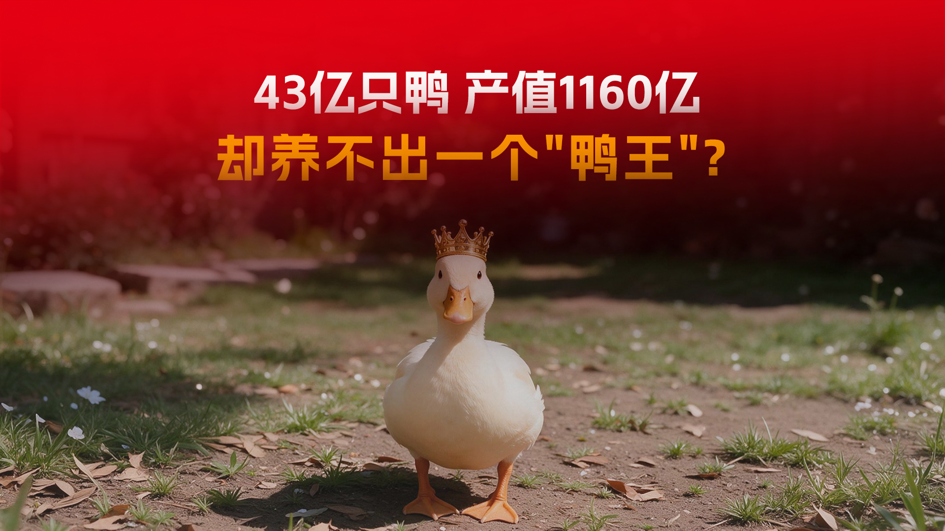 43亿只鸭、产值1160亿，为啥却养不出一个"鸭王"?