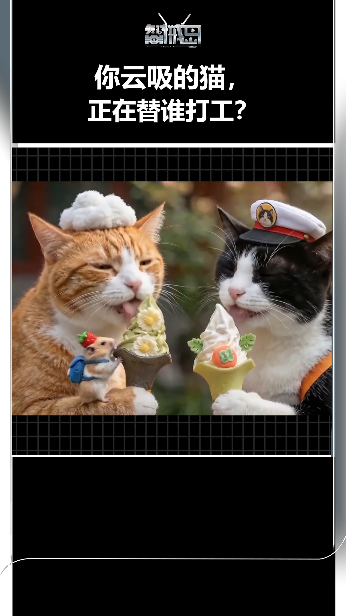 你云吸的猫，正在替谁打工？